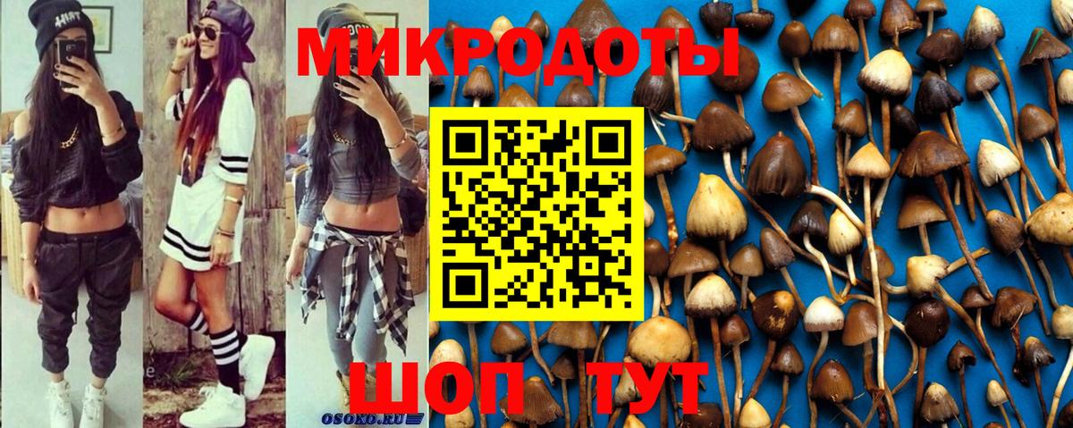 Галлюциногенные грибы MAGIC MUSHROOMS Железноводск