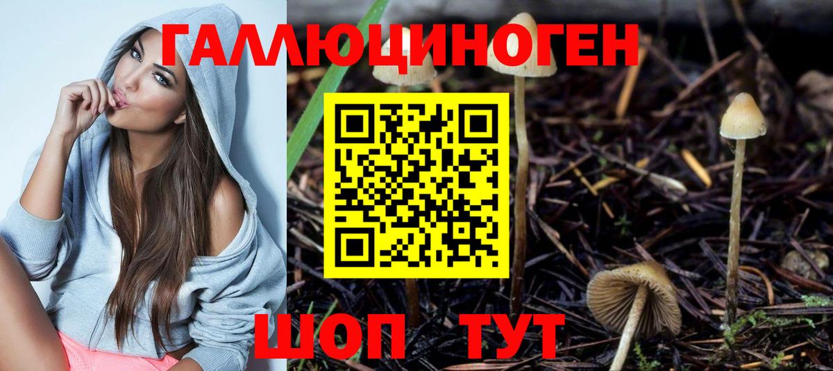 Галлюциногенные грибы Psilocybe  Псилоцибиновые грибы прущие грибы  Железноводск  Вход с VPN 